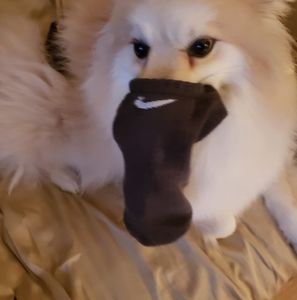 Meet your Posher, Greg